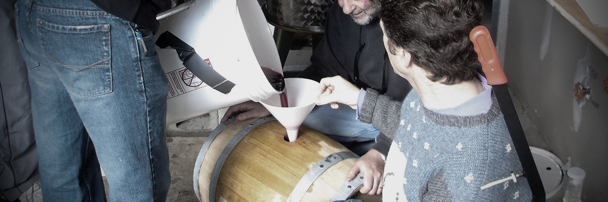 wine making