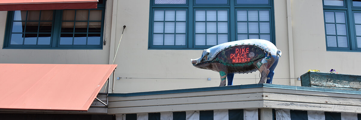 Rachel the Pike Place Market Pig