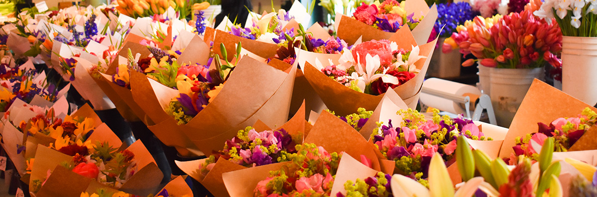 Spring Cleaning for your website