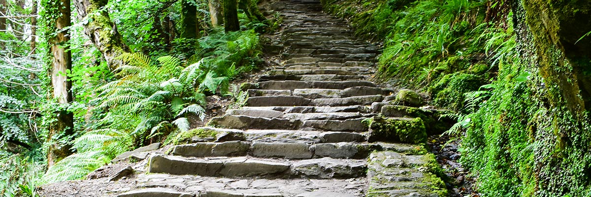social media path forward