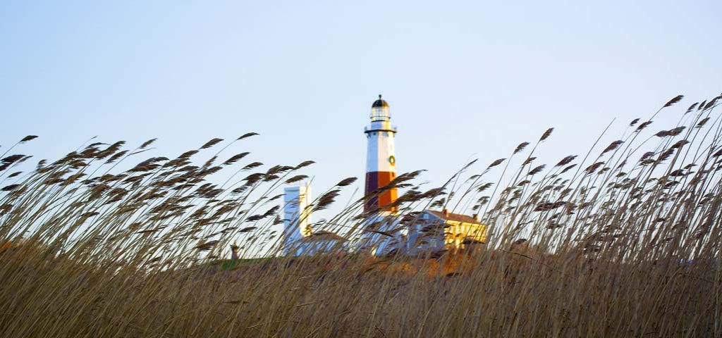 Greater Long Island Psychiatric Society